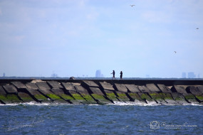 Zuidpier IJmuiden