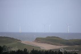 Windmolens