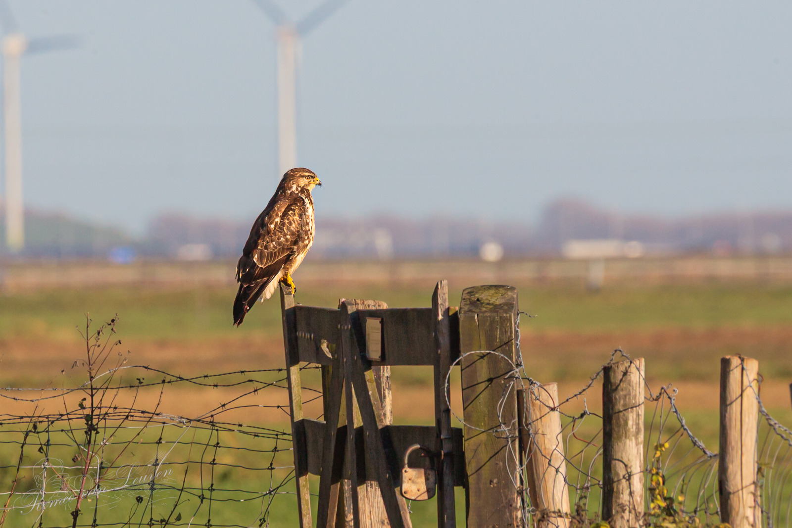 Photo taken by Remco van Leuven Heemskerk.