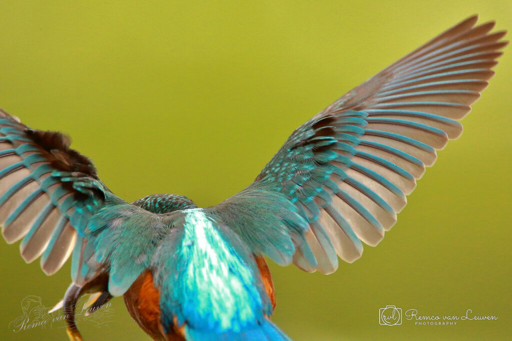 Photo taken by Remco van Leuven.